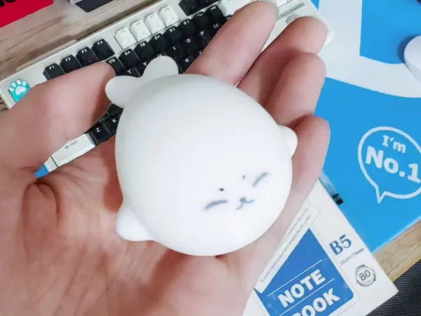 https://makerworld.bblmw.com/makerworld/model/DSM00000002099174/design/2025-12-10_4cad33f0c3eb88.png