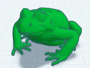 realistic frog