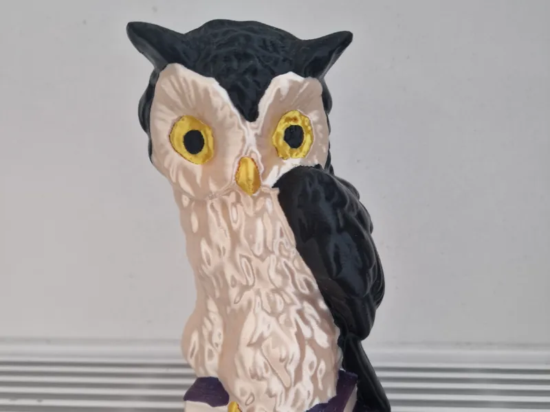 Owl 