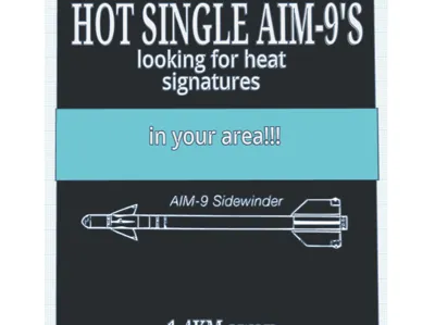 Hot single AIM-9's sign