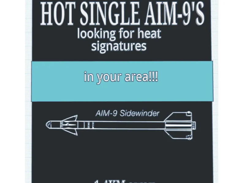 Hot single AIM-9's sign