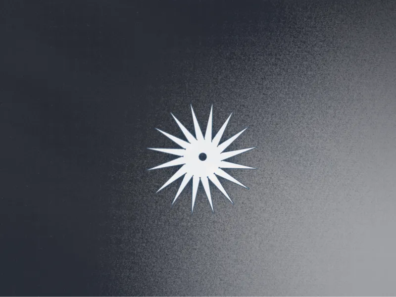 ninja star 