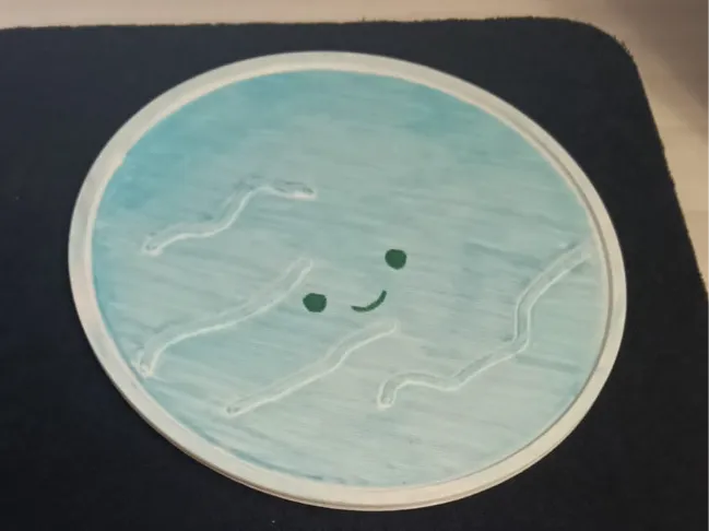 Uranus & Neptun