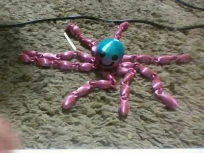 Octopus