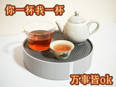 Bambu Lab filament spool tea tray
