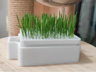 猫草水培盆