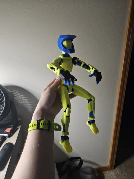 https://makerworld.bblmw.com/makerworld/model/DSM00000002105171/design/2025-12-12_tr9lj5bokndu.jpg