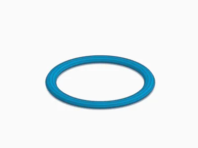 Swiss Ball Storage Ring