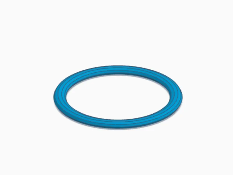 Swiss Ball Storage Ring