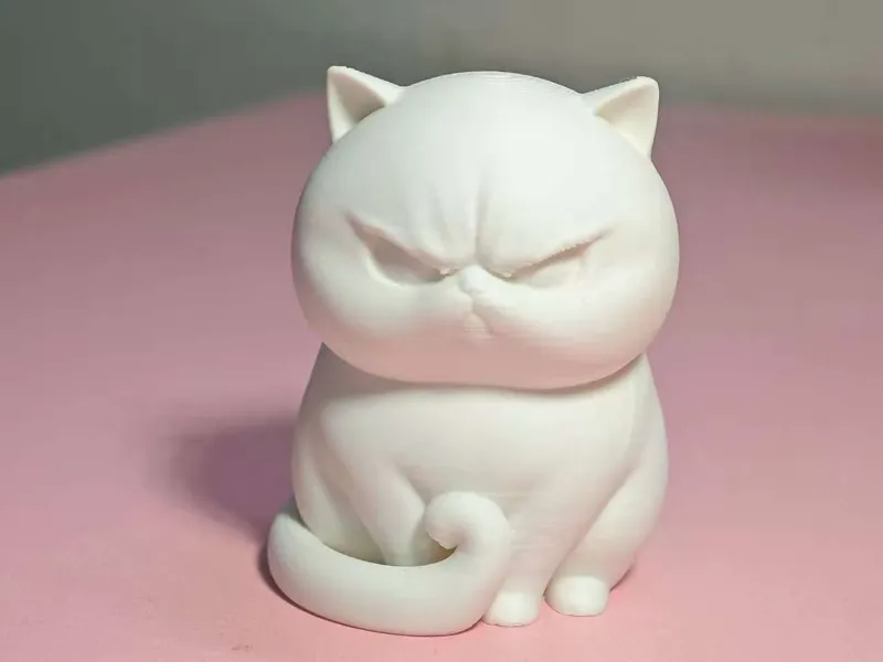 炸毛气鼓鼓胖猫・傲娇怼脸萌猫