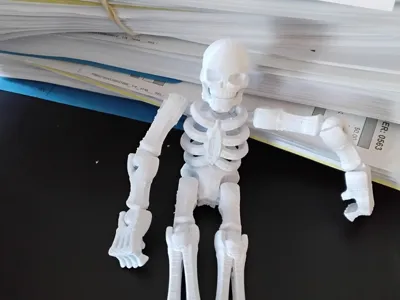 joes 3d skelition