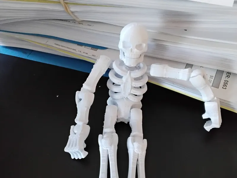 joes 3d skelition