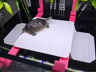 Turtle Anti-Escape Hanging Basking Platform