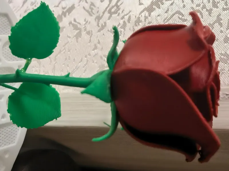玫瑰花