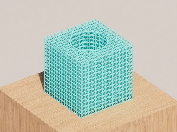 https://makerworld.bblmw.com/makerworld/model/DSM00000002110356/design/2025-12-13_e8bb59844520c.png