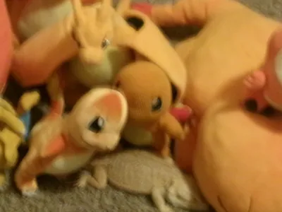 Lizard and Pokemon
