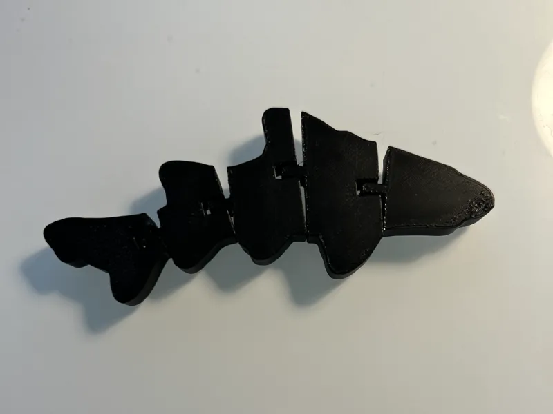 Flexi shark