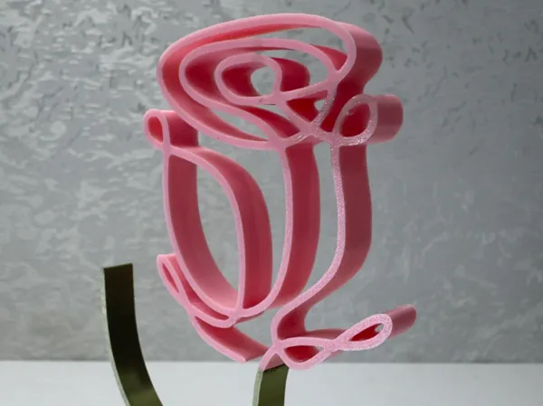 https://makerworld.bblmw.com/makerworld/model/DSM00000002113450/design/2025-12-14_d1f27ada2c8508.jpeg