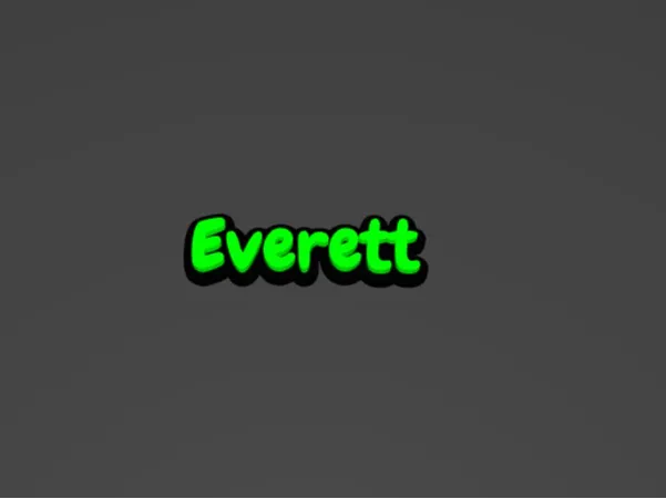 KeyChain Everett