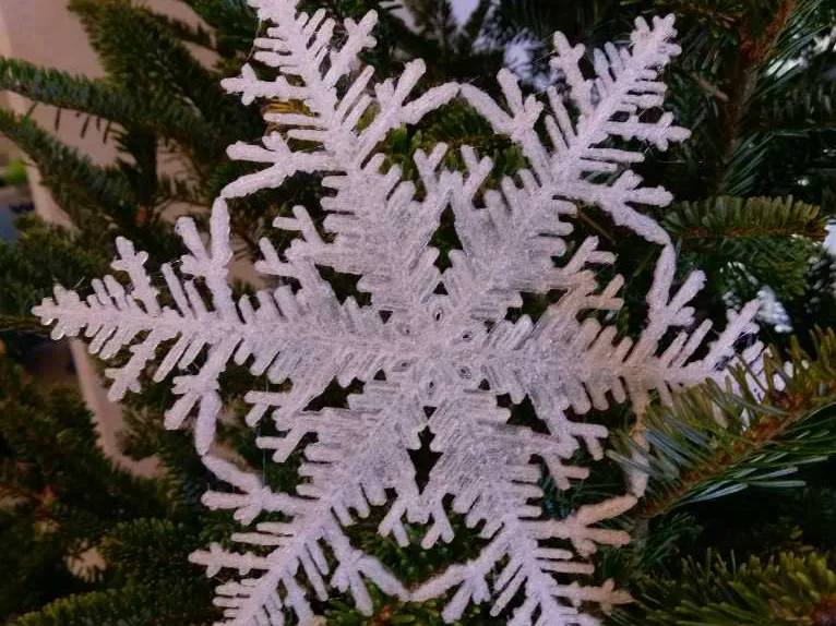 Snowflake (Gravner-Griffith simulation)
