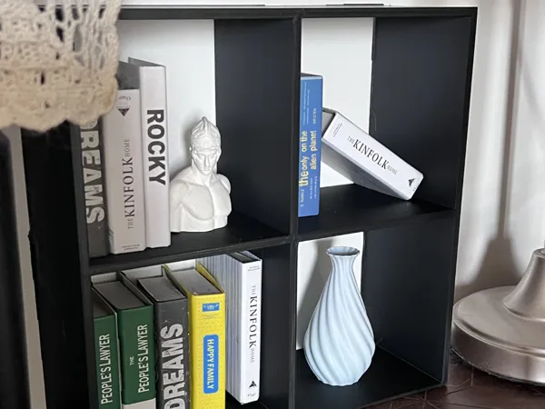 https://makerworld.bblmw.com/makerworld/model/DSM00000002118511/design/2025-12-15_02857a32bdf55.jpg