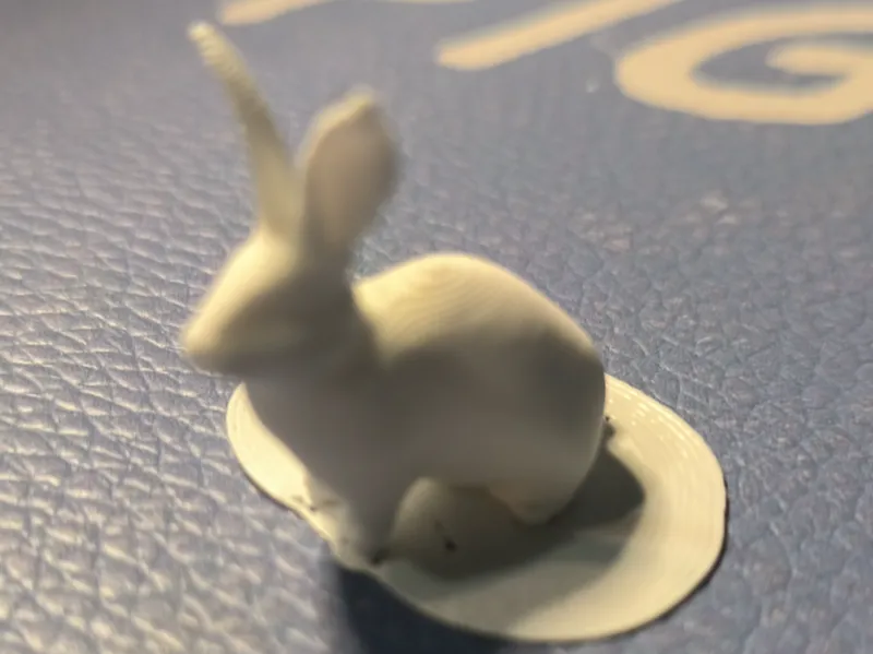 兔子