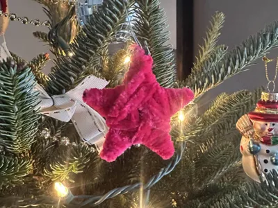 Crafty Star Ornament
