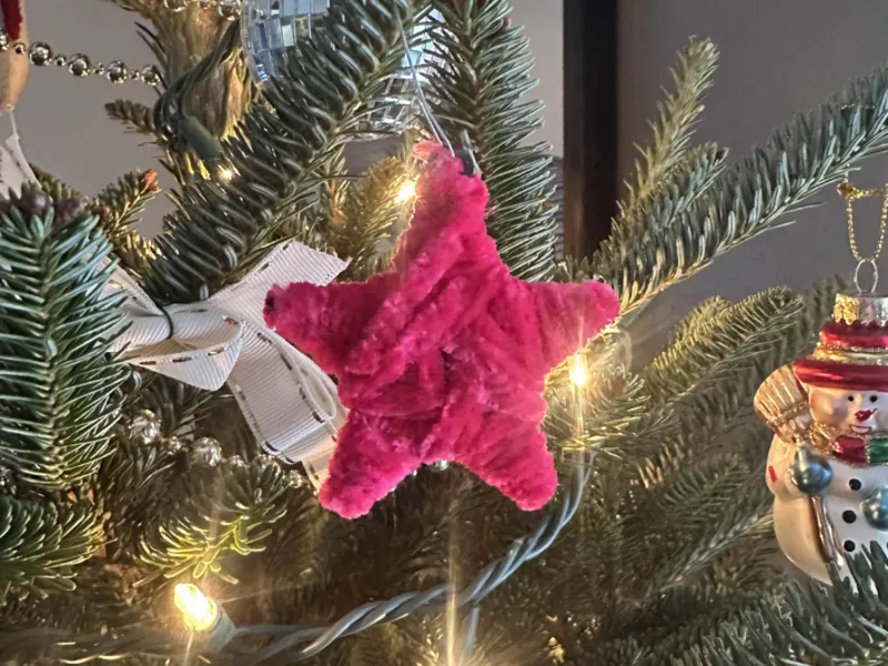 Crafty Star Ornament