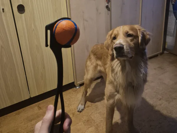 Lanceur de balle de tennis avec crochet de ceinture