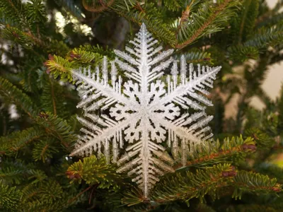 Snowflake decoration from Reiter simulation