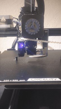 Test Bridging