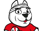 DOGOS