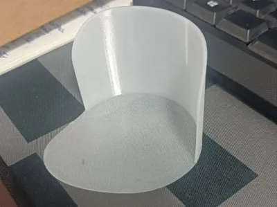 Flexible Shoe Heel Guard