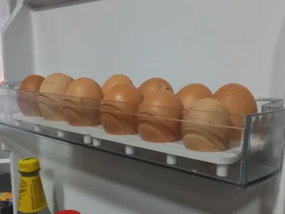 Egg Tray