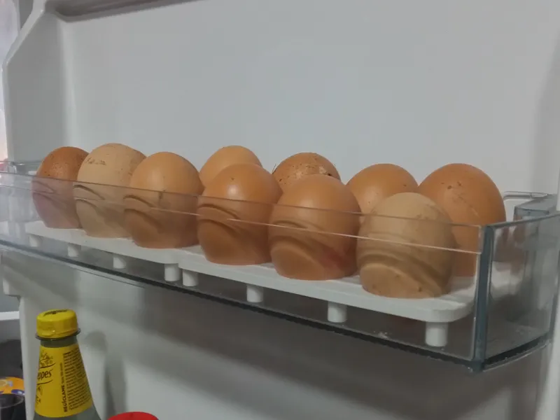 Egg Tray
