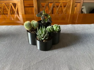 Succulent plant pot