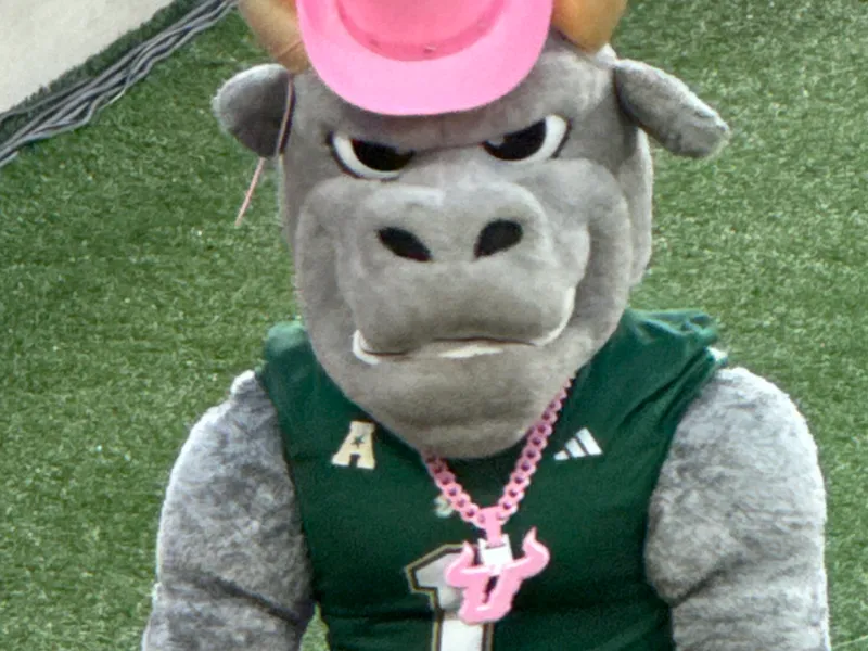 USF chain