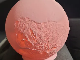 Katzen.lithopane