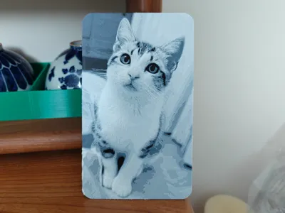Cute Cat Print