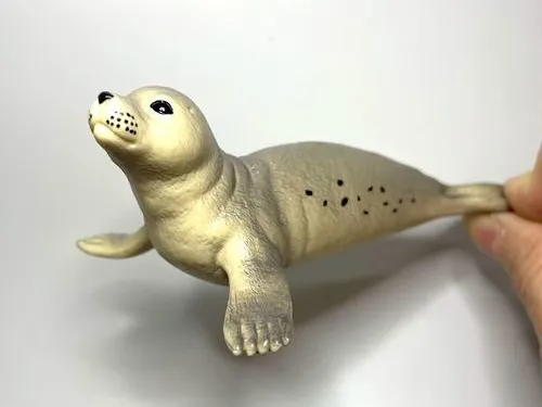 可爱的海豹