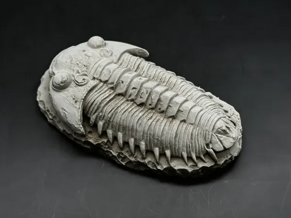 https://makerworld.bblmw.com/makerworld/model/DSM00000002136340/design/2025-12-20_221b4246e49fc.png