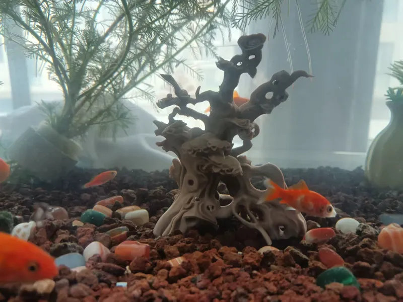 鱼缸摆件木雕小鱼躲避屋