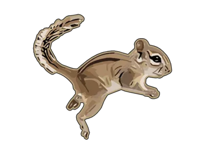 flexi Squirrel  