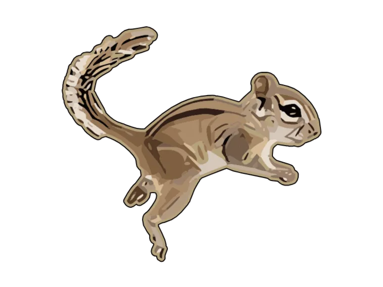 flexi Squirrel  