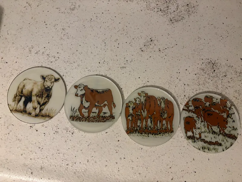 Hereford Cow Coasters (Hueforge