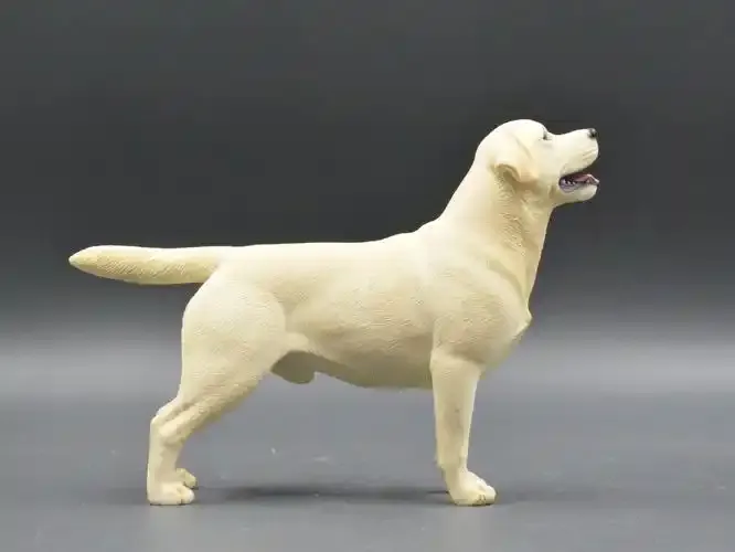 可爱的狗子