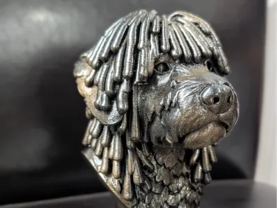 SPANISH WATER DOG BUST