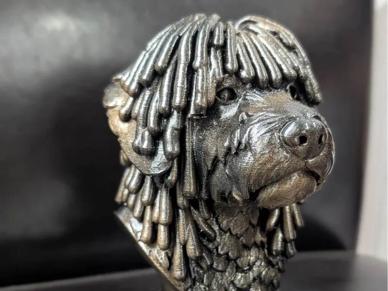 SPANISH WATER DOG BUST