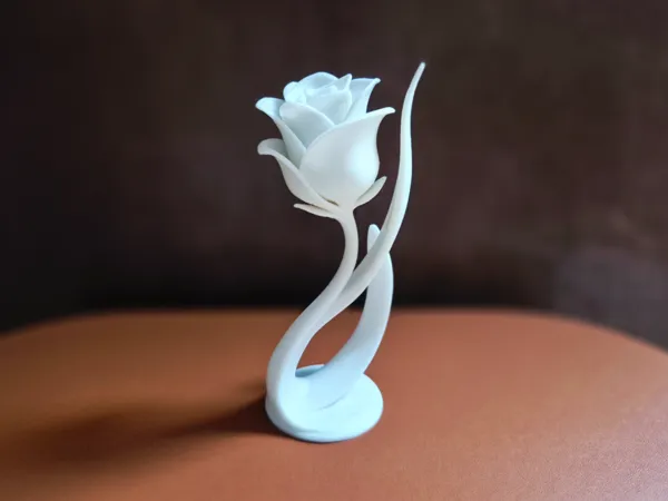 https://makerworld.bblmw.com/makerworld/model/DSM00000002141550/design/2025-12-21_1b276f38837ae.jpg
