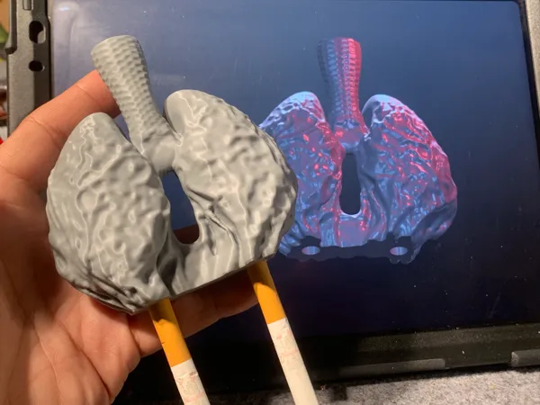 https://makerworld.bblmw.com/makerworld/model/DSM00000002142320/design/2025-12-22_32dbdb90cb2a8.jpg